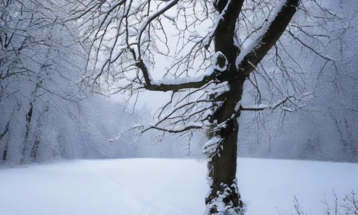 zámek Maleč – winter