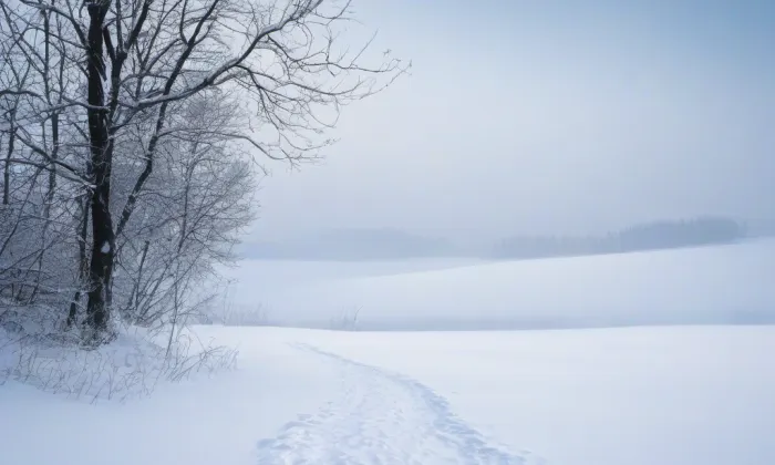 zámek Náměšť na Hané – winter