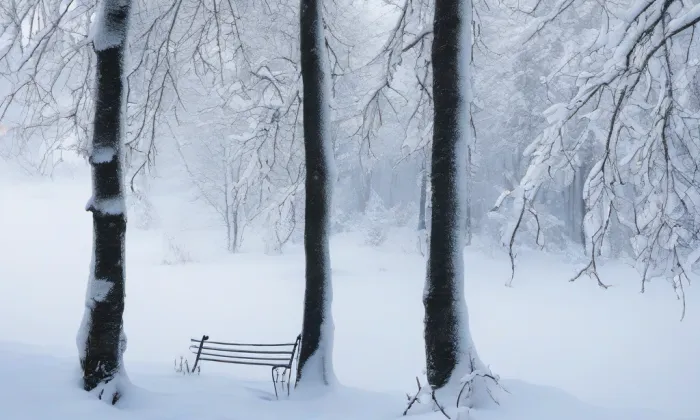 Zámek Osov – winter