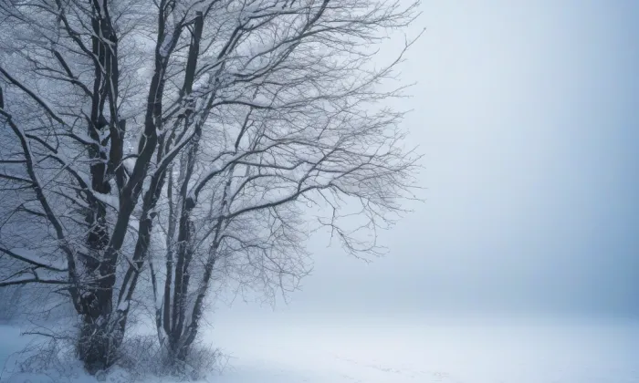 zámek Potštejn – winter