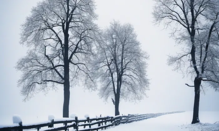 Zámek Račice – winter