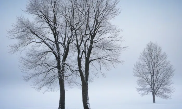 zámek Radenín – winter