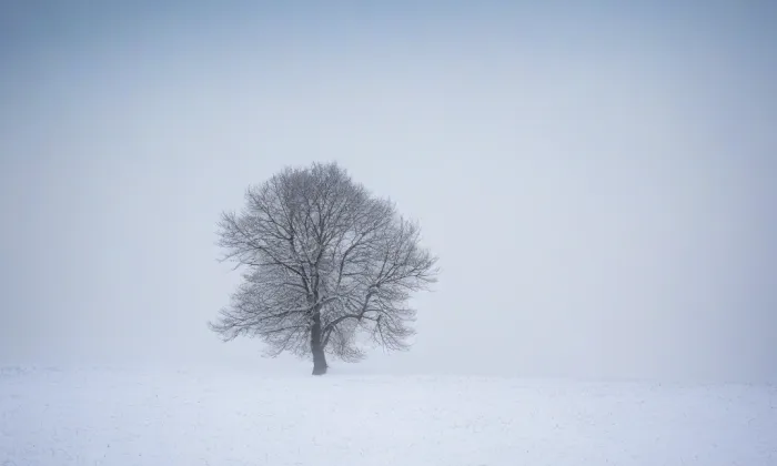zámek Slavín – winter