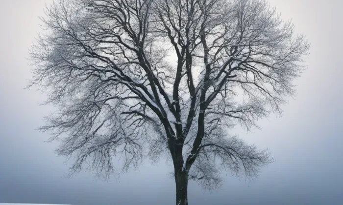 zámek Svojšice – winter