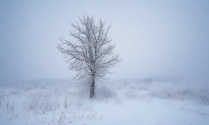 zámek Třešť – winter