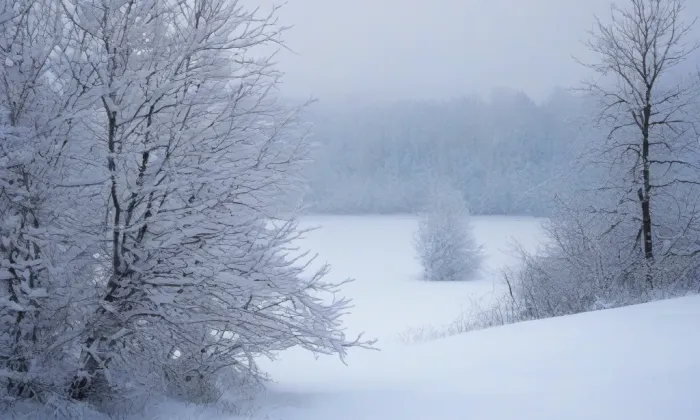 zámek Velké Meziříčí – winter