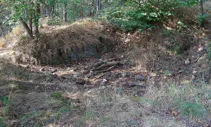 Angerbach