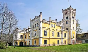 Býchory