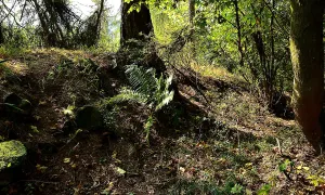 Funkenštejn