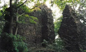 Netřeb