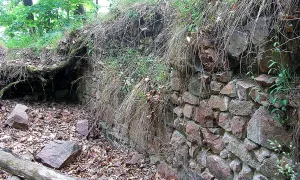 Obřany