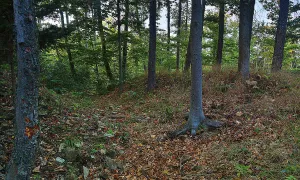 Plankenberk