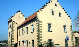 Salhausenovský dům