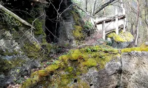 Staráky