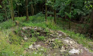 Vlčinec