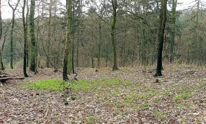 Zbraslav