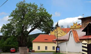 Klášterní mlýn v Plasích