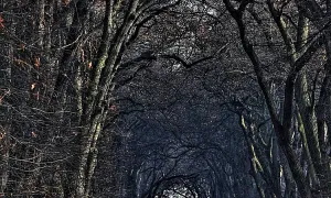 Obora Hvězda
