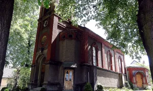Kostel svaté Hedviky Slezské (Český Těšín)