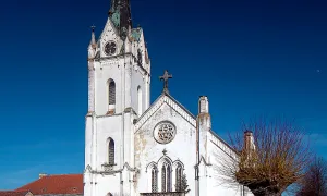 Kostel svatých Fabiána a Šebestiána v Zákupech
