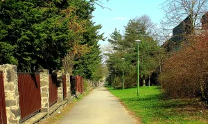 Janáčkovo stromořadí