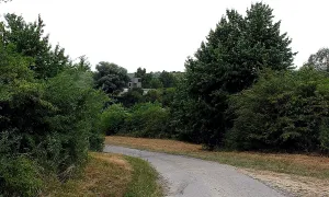 Mušlov