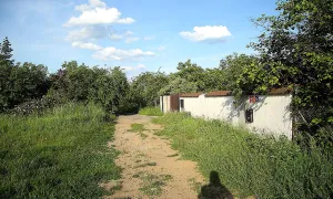 Pámelníková