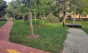 náměstí Družby