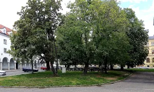 Park Dukelská