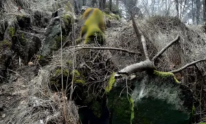 Hrad na Stožecké skále