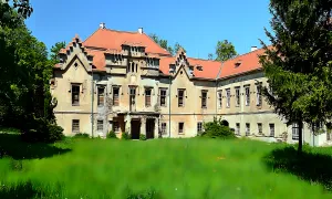 Verušičky