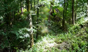 Čejchanov