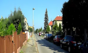 Chřibská
