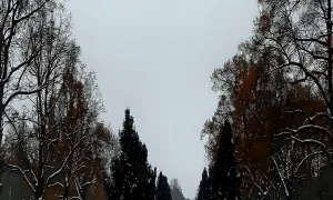 Borský park