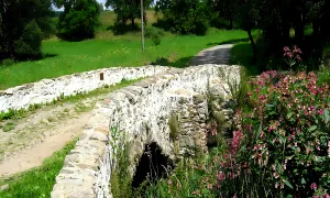 most u Lutriána